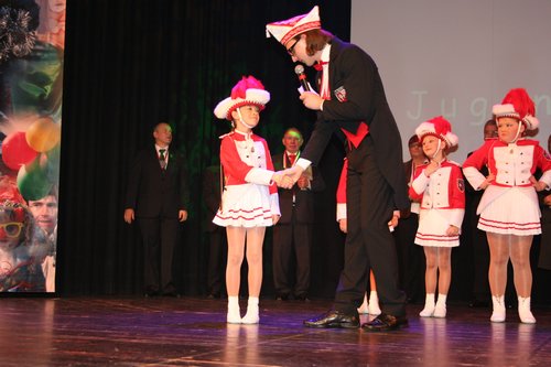 Sitzung 20122013 096.JPG